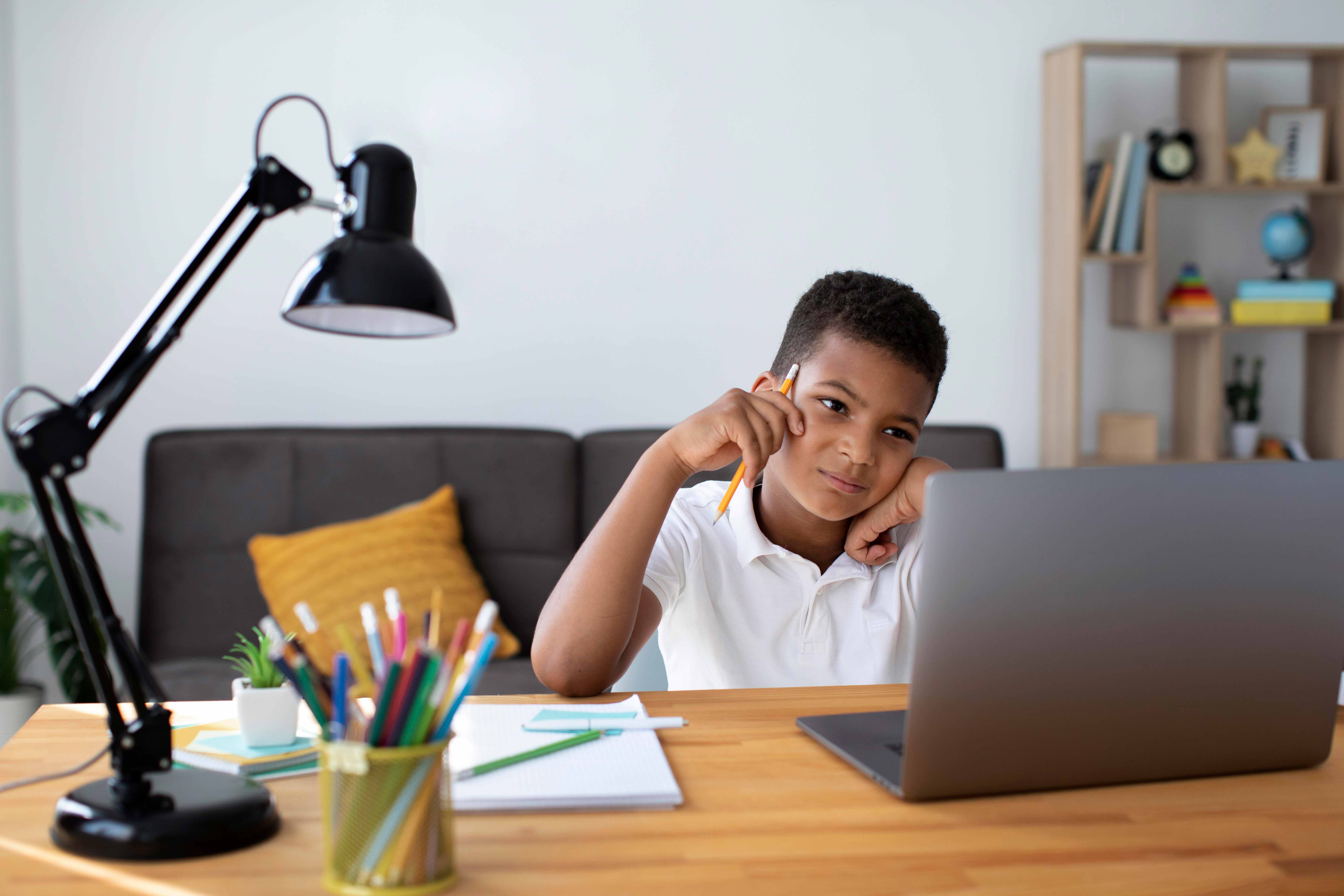 little boy doing school online